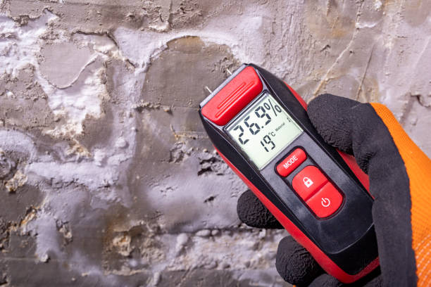Best Mold Cleaning Services  in Water Valley, MS