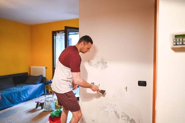 Best Fast Mold Removal  in Water Valley, MS